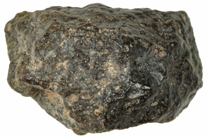 Abadla CM Chondrite Meteorite ( g) - Algeria #313033